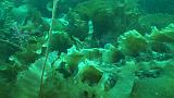 2011-06-15 16-58-55 UK_27